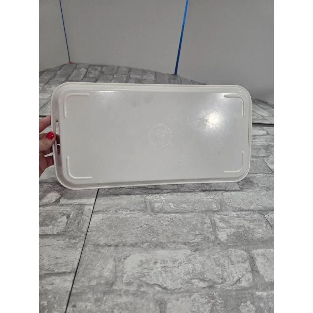 Evergreen tray rectangular